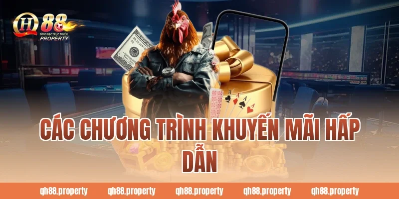Các chương trình khuyến mãi hấp dẫn