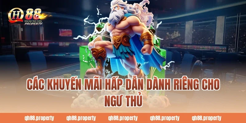 Các khuyến mãi hấp dẫn dành riêng cho ngư thủ
