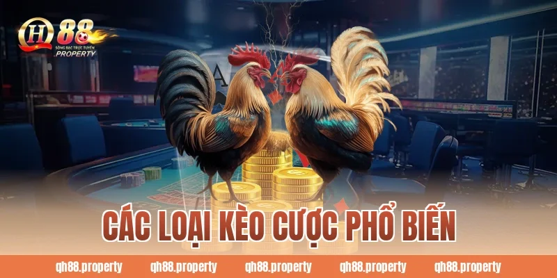 Các loại kèo cược phổ biến