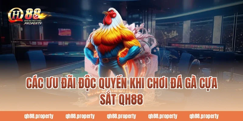 Các ưu đãi độc quyền khi chơi đá gà cựa sắt qh88