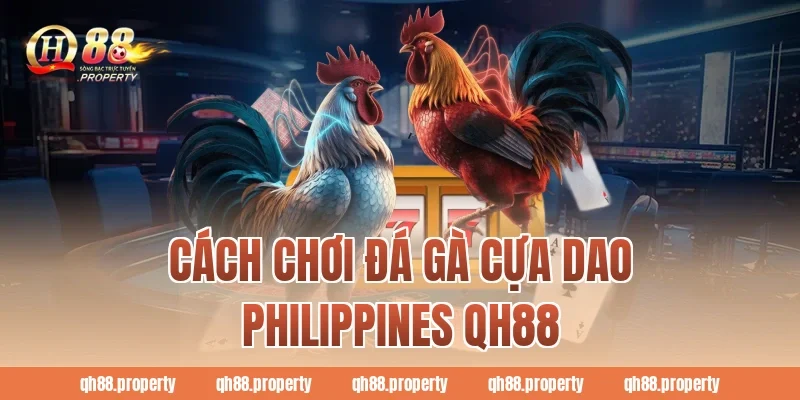 Cách Chơi Đá Gà Cựa Dao Philippines QH88 Dễ Hiểu Nhất