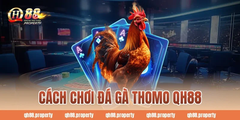 Chỉ Cách Chơi Đá Gà Thomo QH88 Chuẩn Cho Người Mới