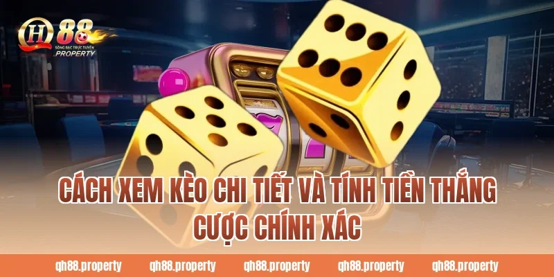 Cách xem kèo chi tiết và tính tiền thắng cược chính xác