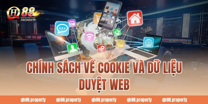 Chính sách về Cookie và dữ liệu duyệt web