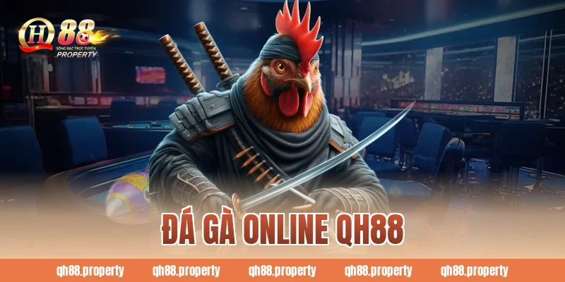 Đá Gà Online QH88 – Hướng Dẫn Chơi Và Kinh Nghiệm Cá Cược