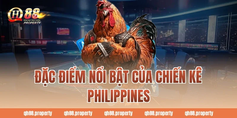 Đặc điểm nổi bật của chiến kê Philippines