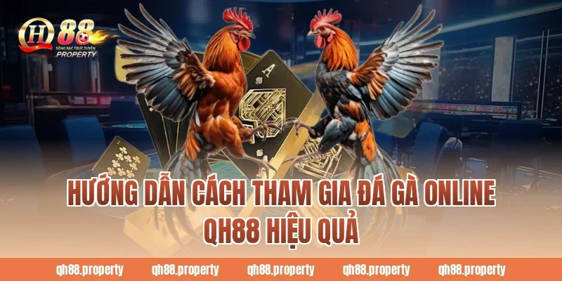 Hướng dẫn cách tham gia đá gà online QH88 hiệu quả
