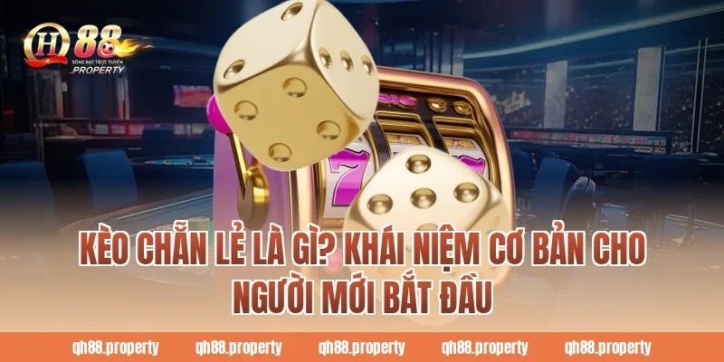 Kèo chẵn lẻ là gì? Khái niệm cơ bản cho người mới bắt đầu