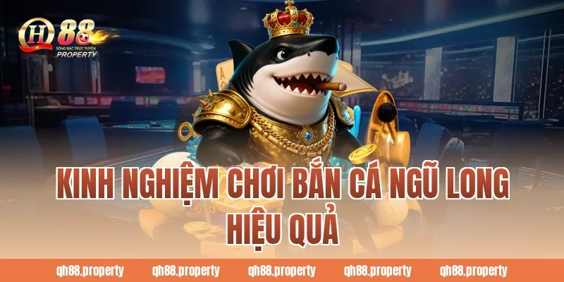 Kinh nghiệm chơi bắn cá ngũ long hiệu quả