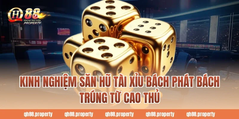 Kinh nghiệm săn hũ Tài Xỉu bách phát bách trúng từ cao thủ
