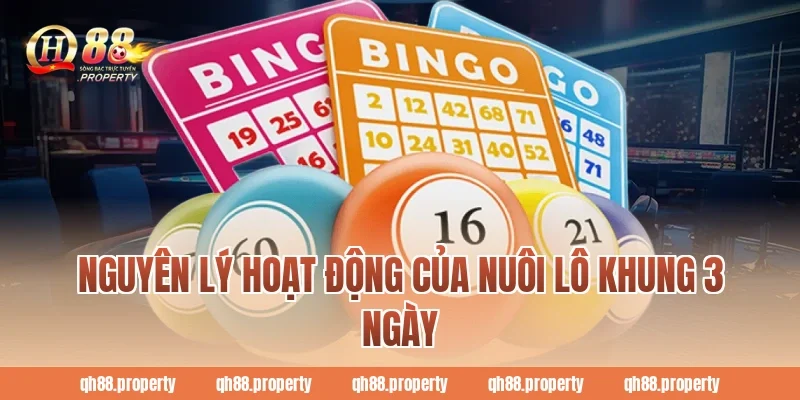 Nguyên lý hoạt động của nuôi lô khung 3 ngày