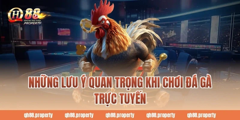 Những lưu ý quan trọng khi chơi đá gà trực tuyến