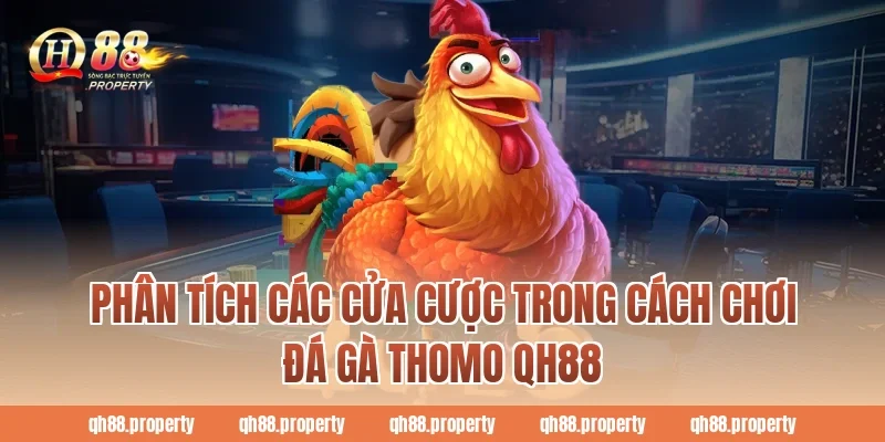 Phân tích các cửa cược trong cách chơi đá gà thomo qh88