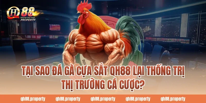 Tại sao đá gà cựa sắt qh88 lại thống trị thị trường cá cược?
