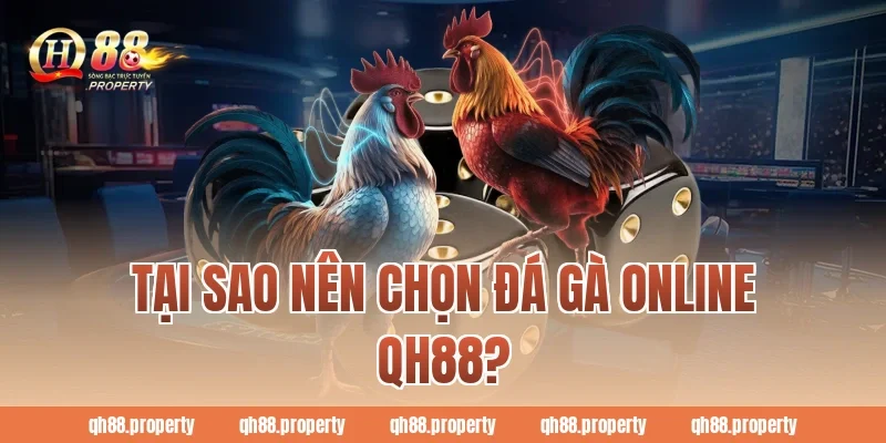 Tại sao nên chọn đá gà online QH88?