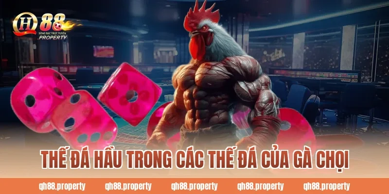 Thế đá hầu trong các thế đá của gà chọi