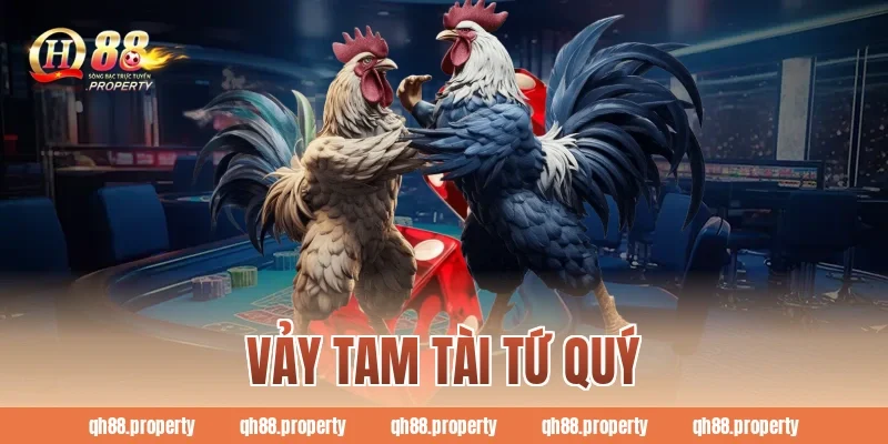 Vảy tam tài tứ quý